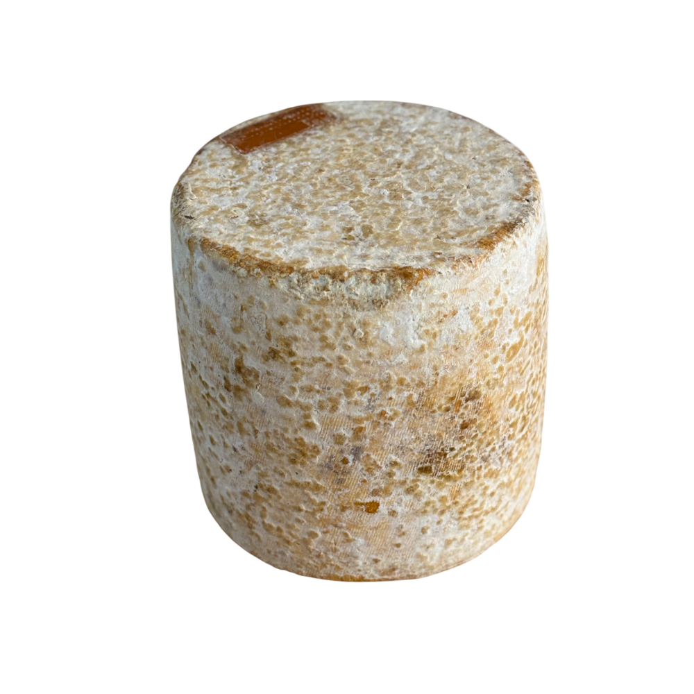 Comté Marcel Petite Gourmandise